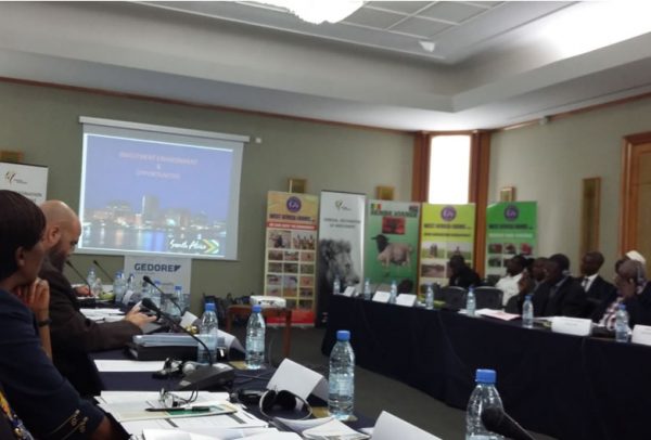 business-meeting-interpreter-johannesburg