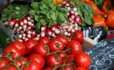 South-African-agricultural-exports-in-African-markets-in-Johannesburg-Pretoria-Durban-Capetown-scaled.