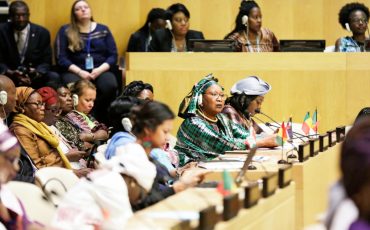Presentation of the African Women in energy Development Initiative-pretoria-johannesburg-capetown-durban-2023