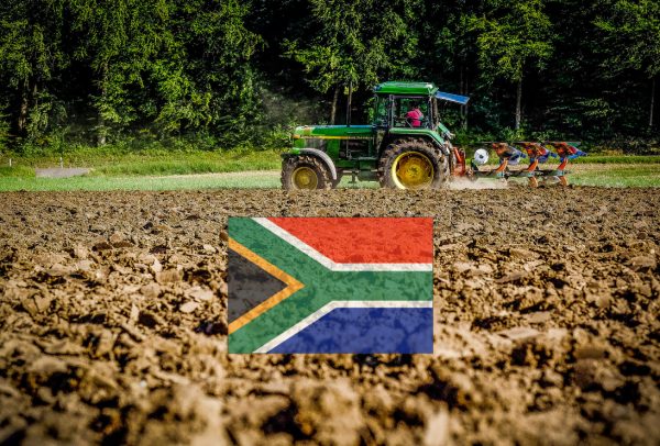 South Africa agriculture statistics year 2022-johannesburg-capetown-durban-pretoria