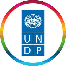 What-is-the-difference-between-UNDP-and-UNEP