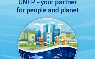 what is the difference between UNDP and UNEP?