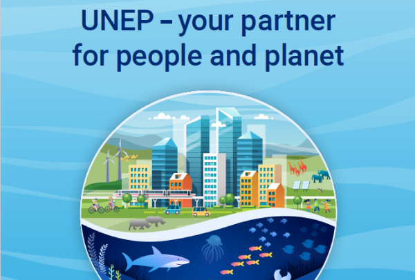 what is the difference between UNDP and UNEP?