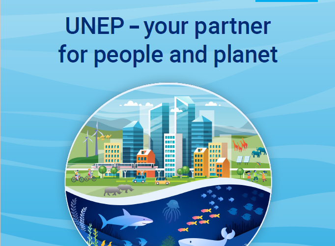 what is the difference between UNDP and UNEP?