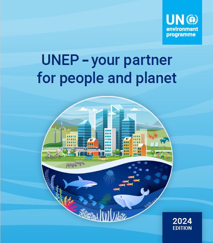 What is the difference between UNDP and UNEP?