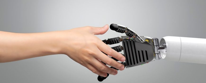 AI Translation Services with Human Expert Review – Johannesburg